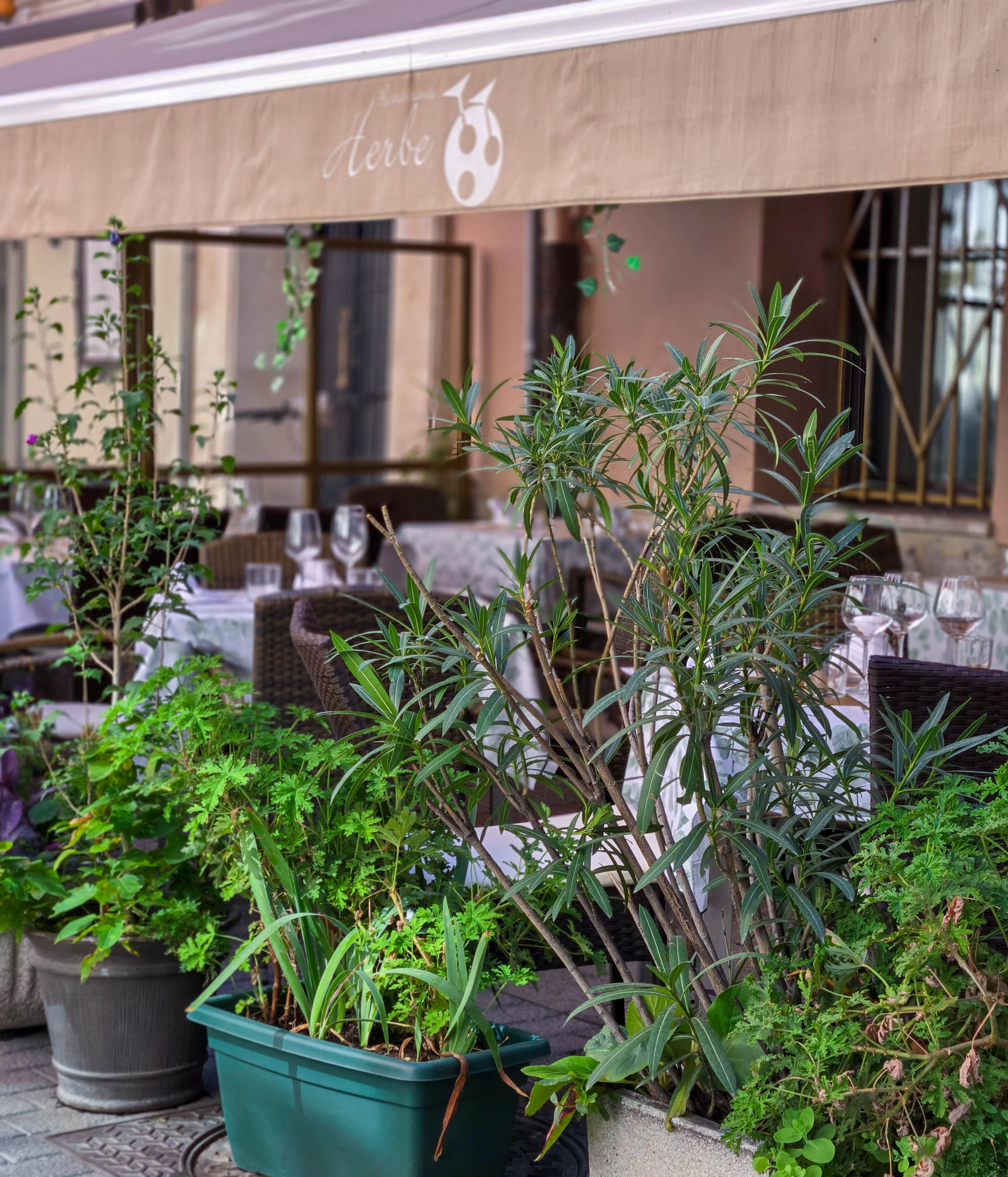 Restaurante Herbe Valladolid